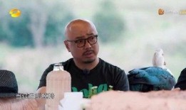 徐峥的最新爆料是什么啊,揭秘演艺圈幕后真相