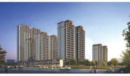 寿光最新爆料,揭秘背后惊人真相