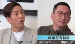 吴启华最新爆料,娱乐圈背后的惊人真相