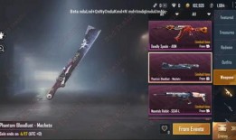 国际服赛季爆料最新消息,全新内容与改动前瞻